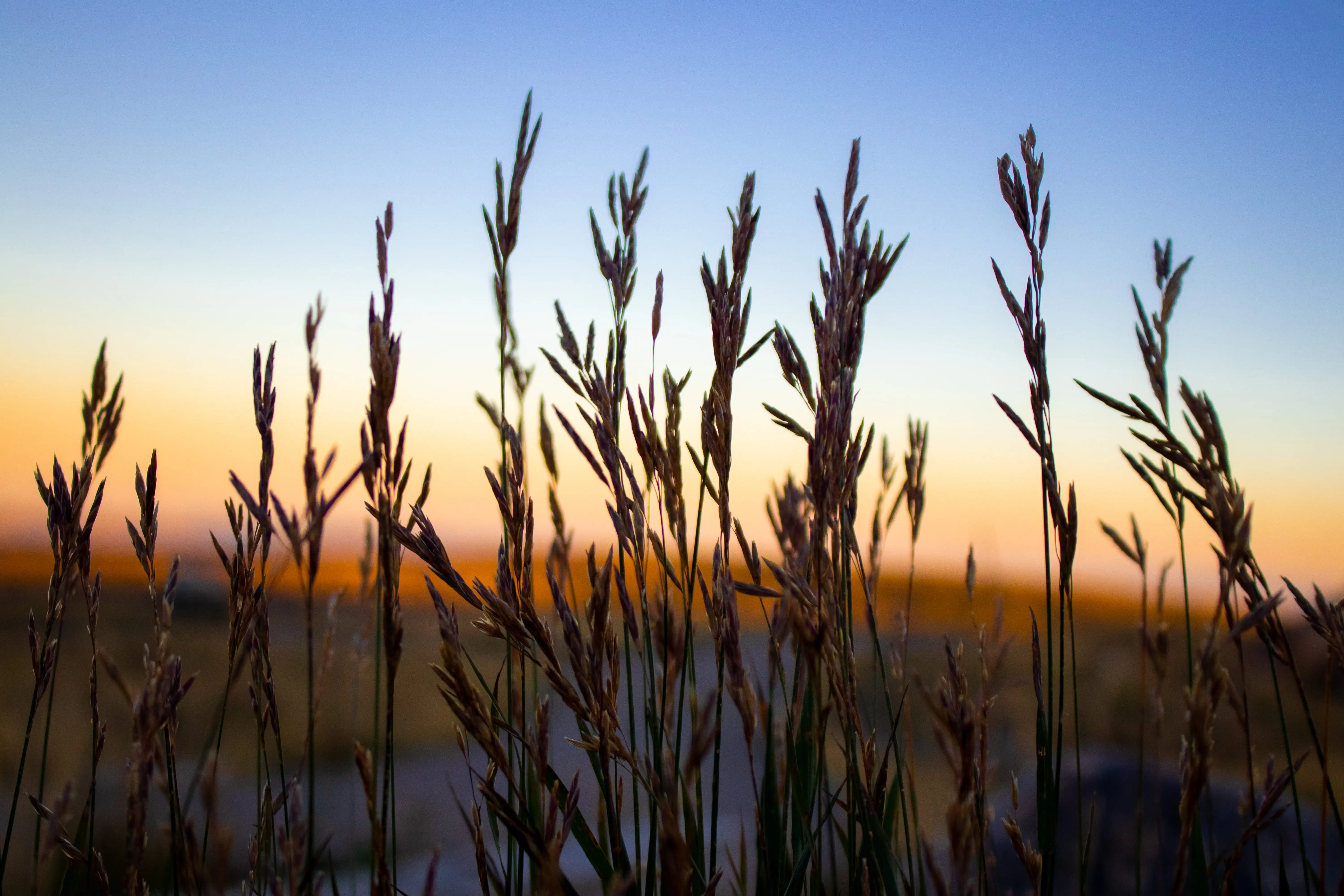 Scenic land landscape