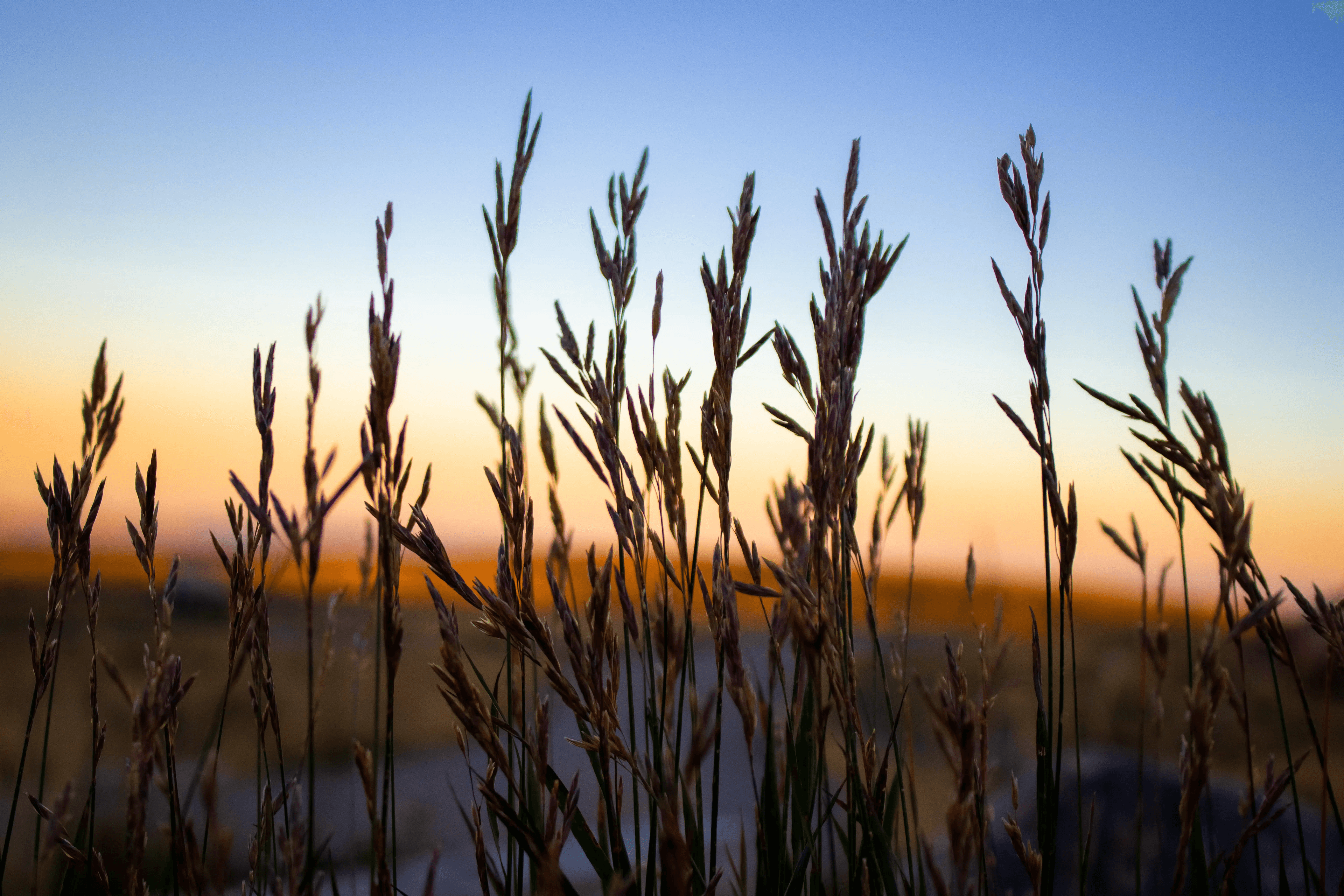 Scenic land landscape