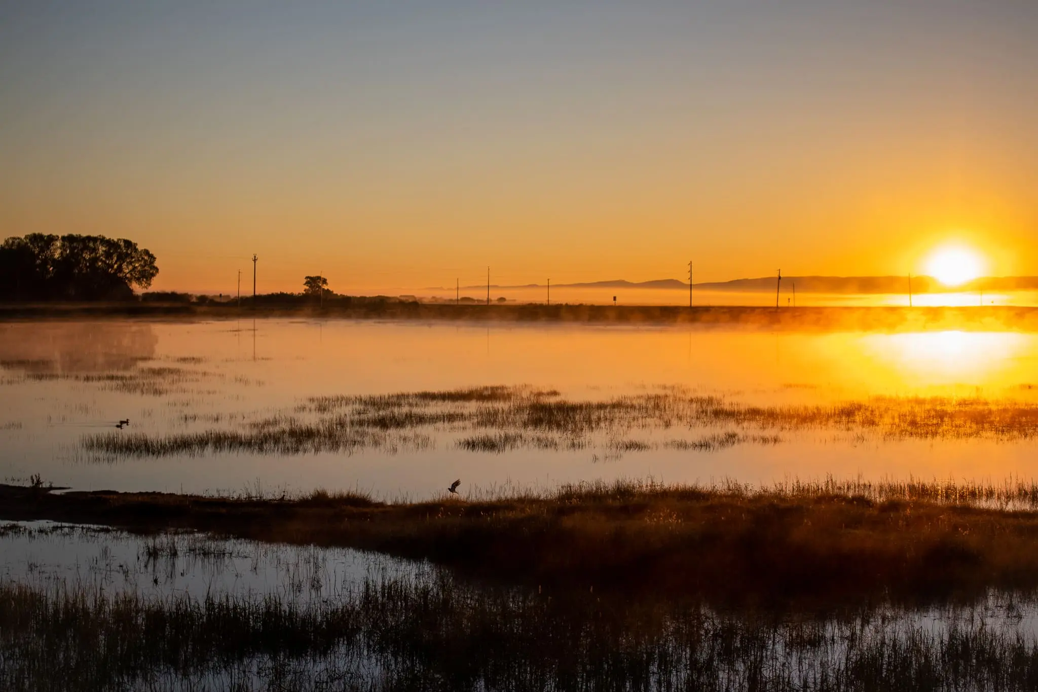 Scenic landscape