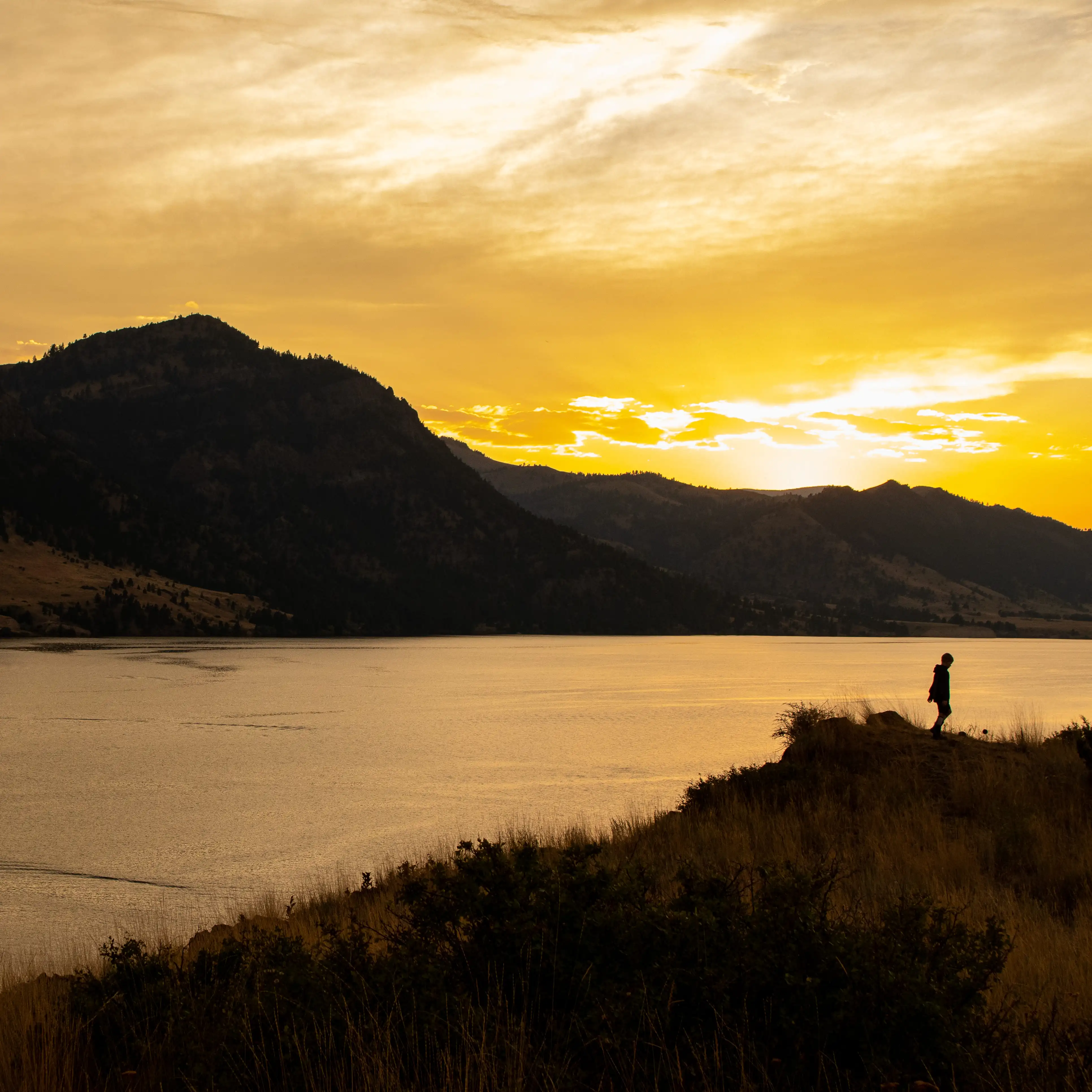 Rural landscape scenery