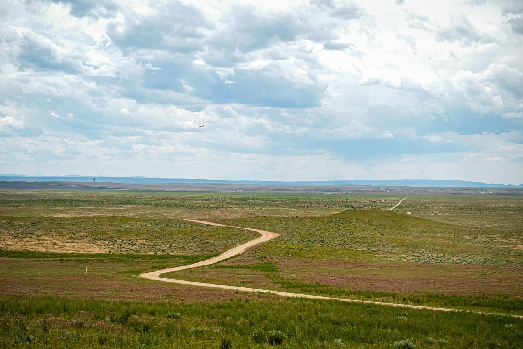 Page hero background